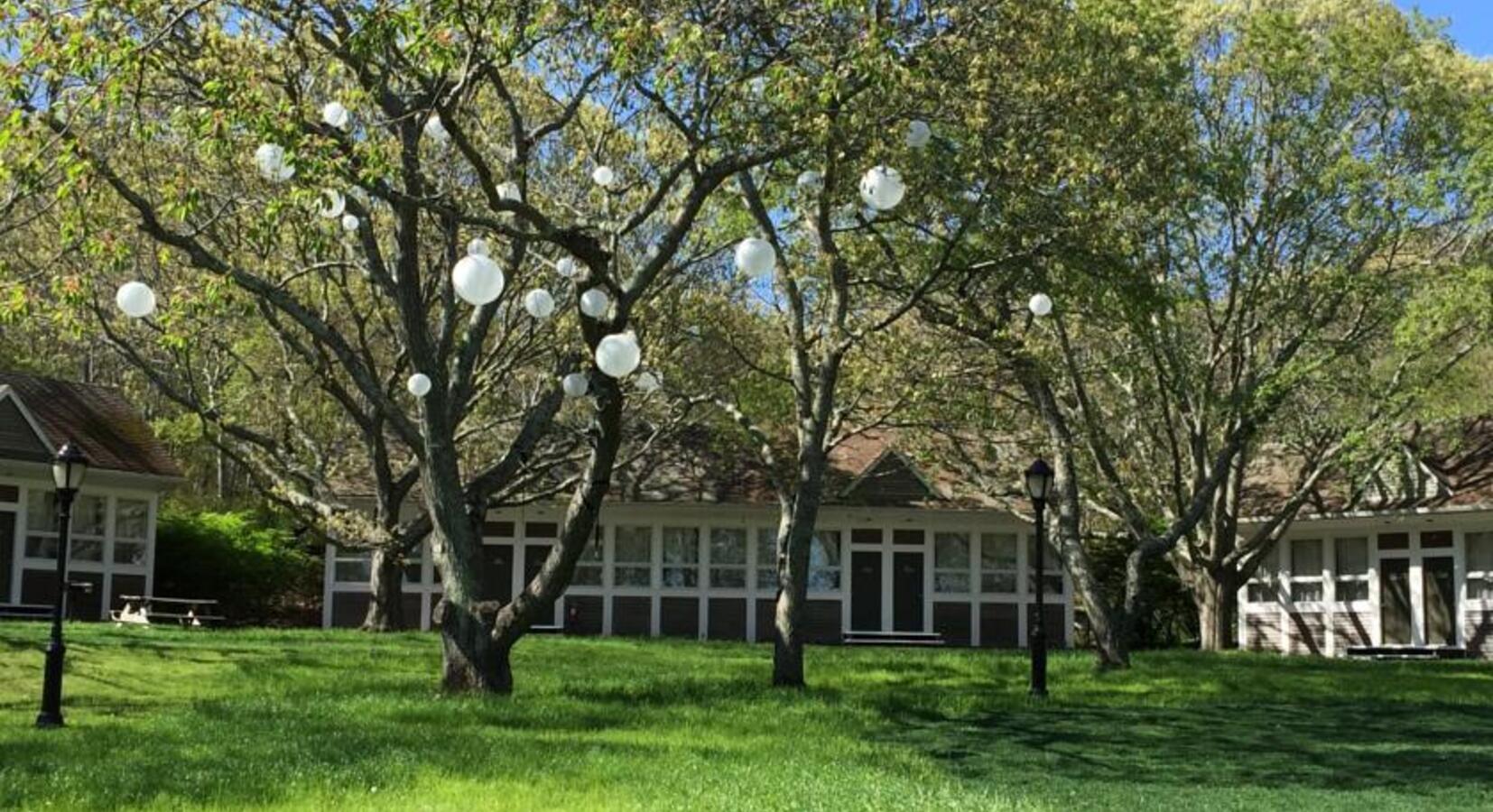 Ruschmeyer's Front Garden and Cabins