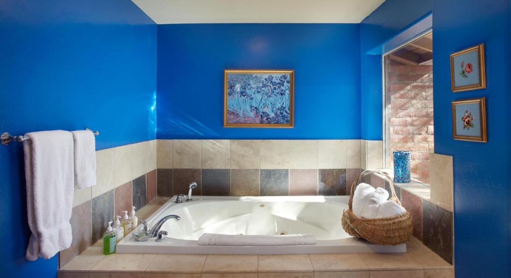 Ocotillo Jacuzzi bath