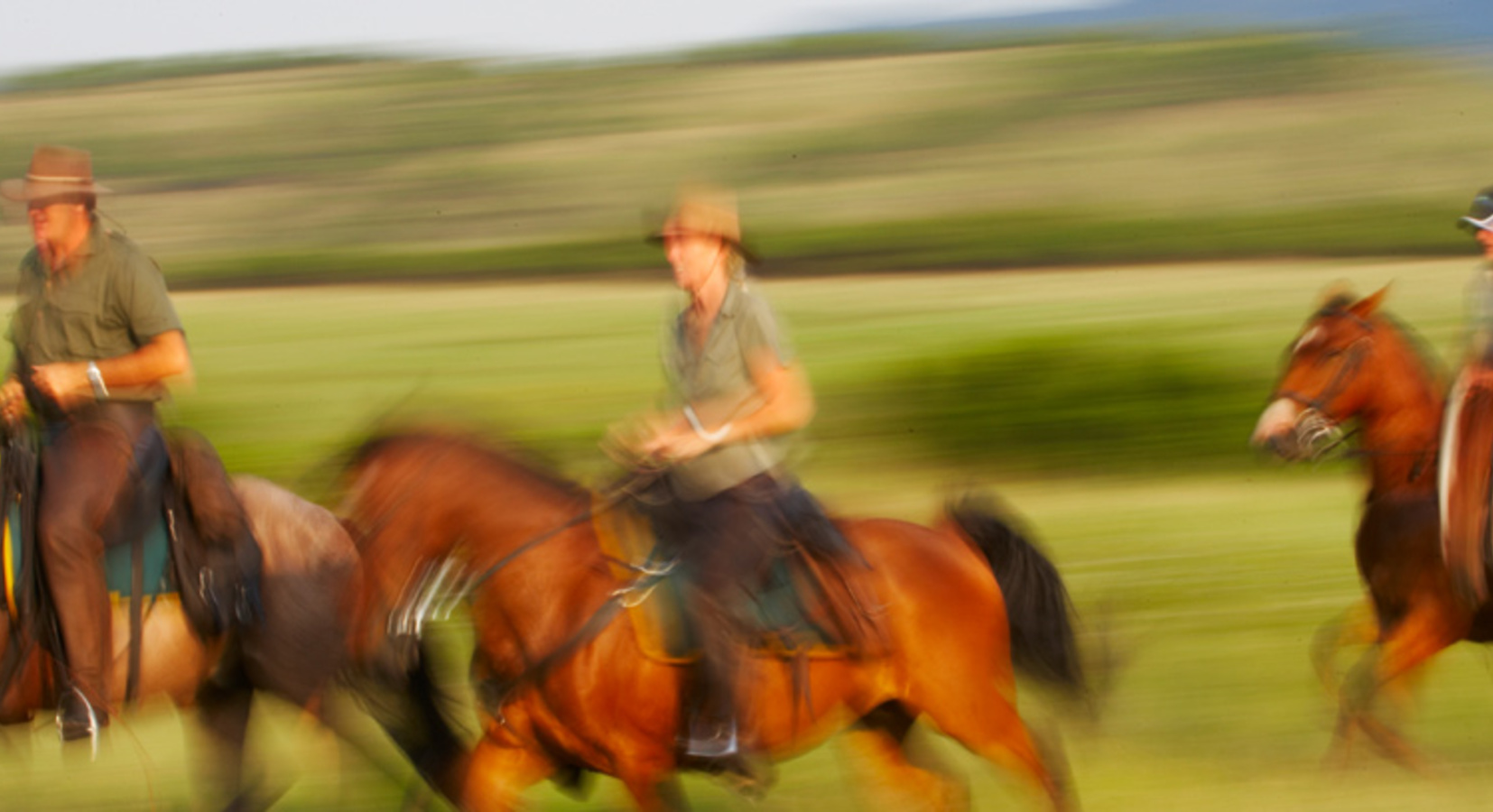 Horseback Safari