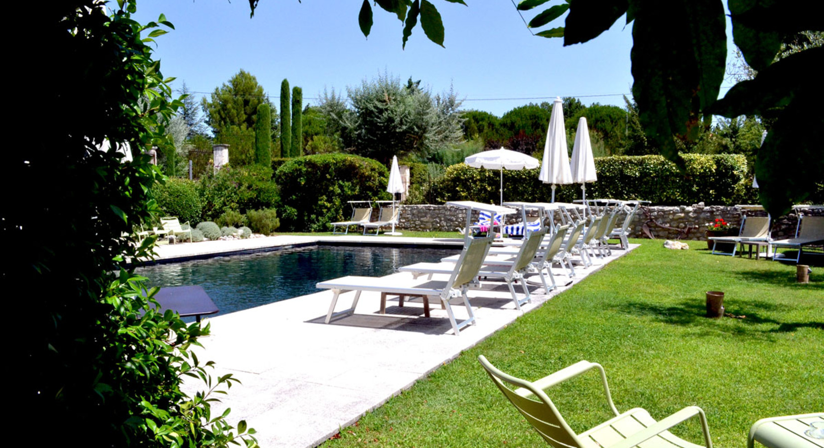 Garden and Swimming Pool 