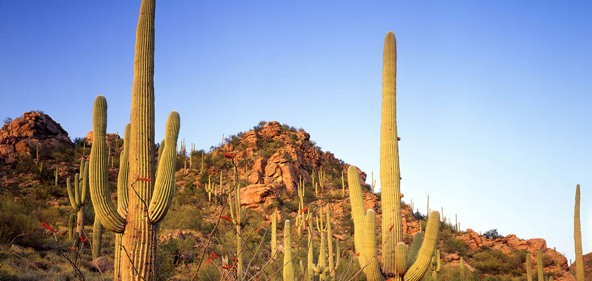 Photo of Scottsdale