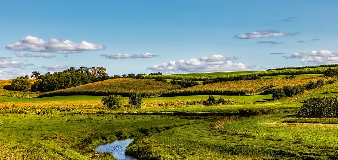 Photo of Wisconsin