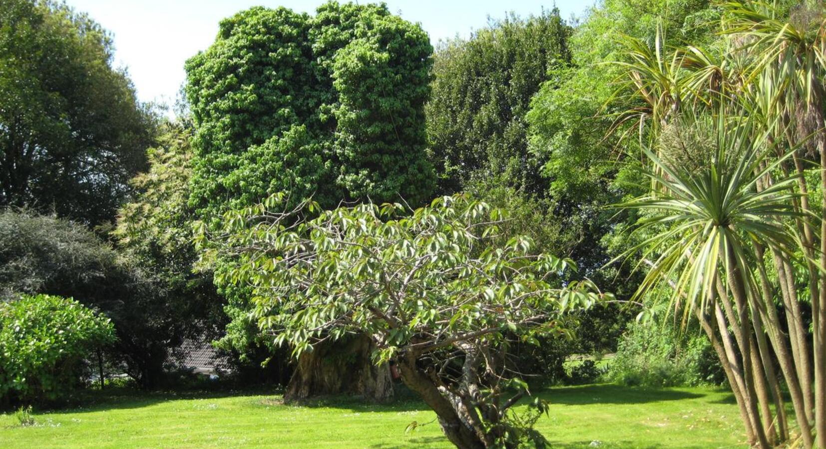 Hotel garden