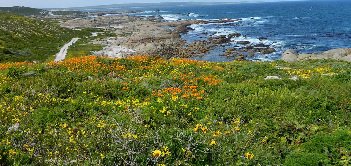 Photo of Paternoster