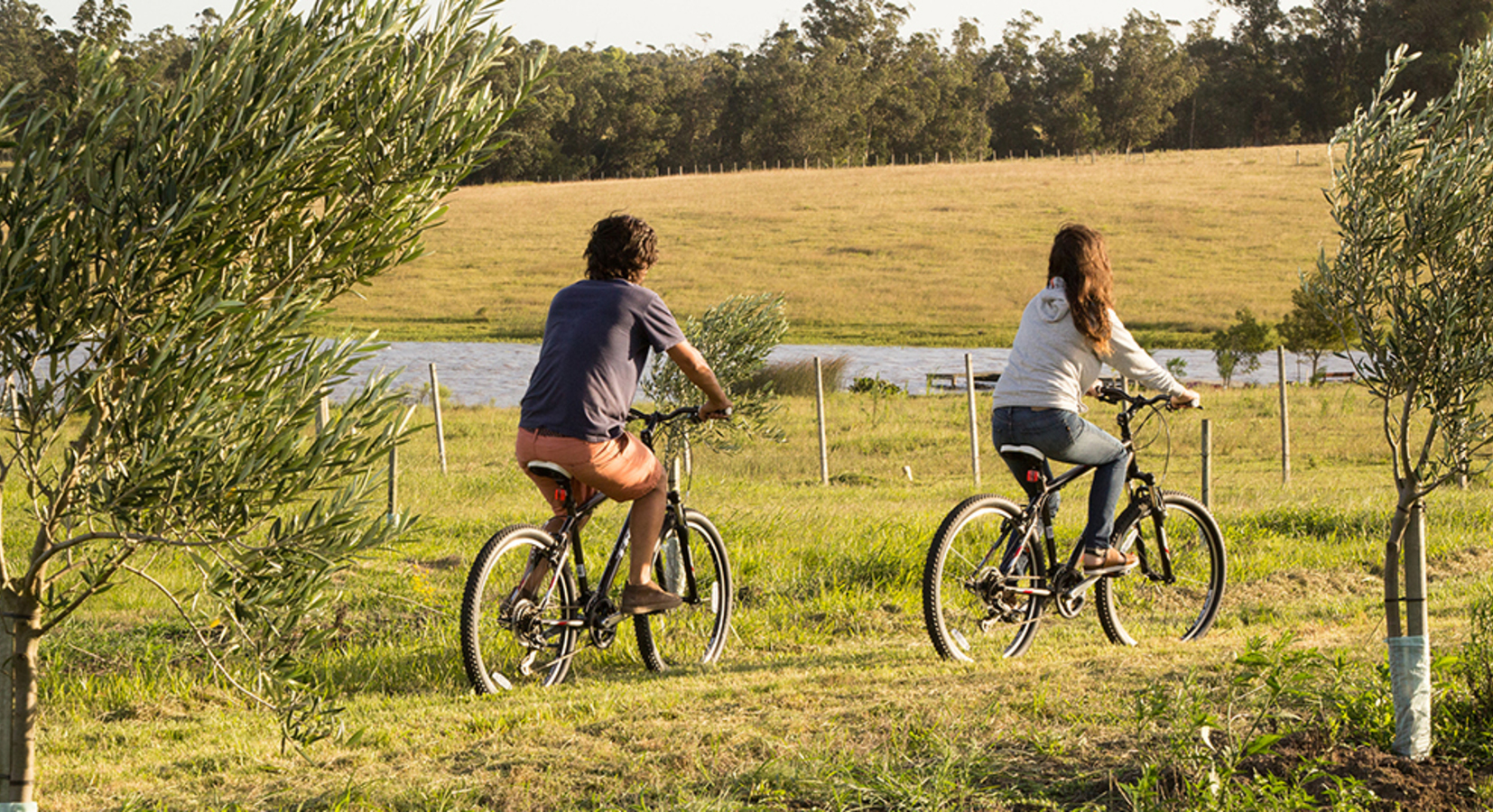 Cycling