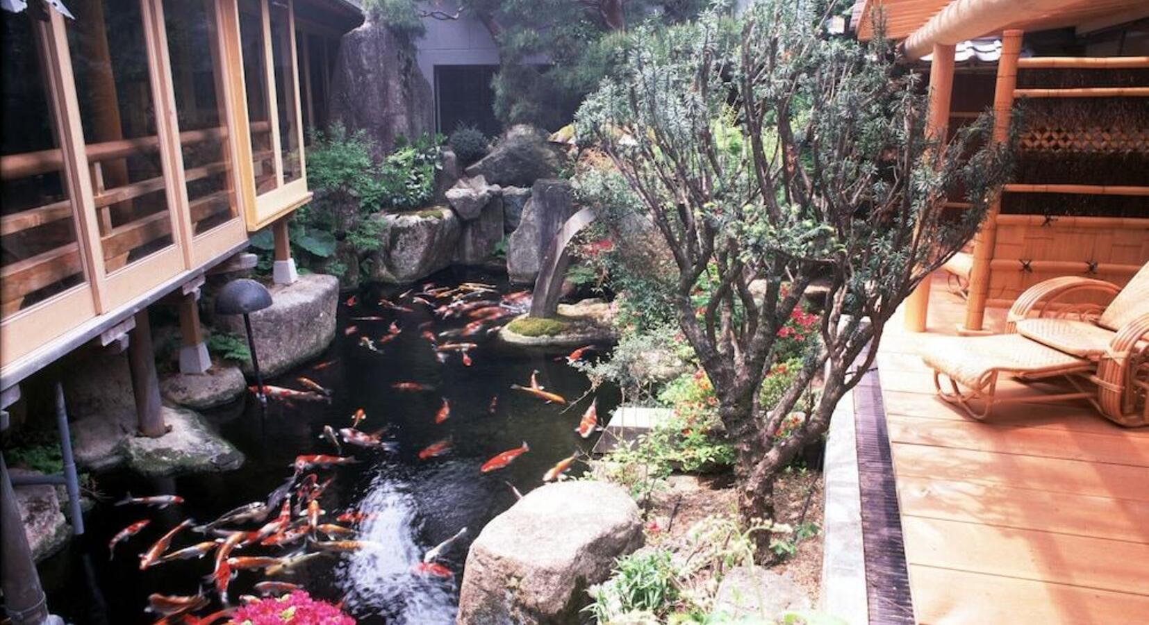 Koi pond