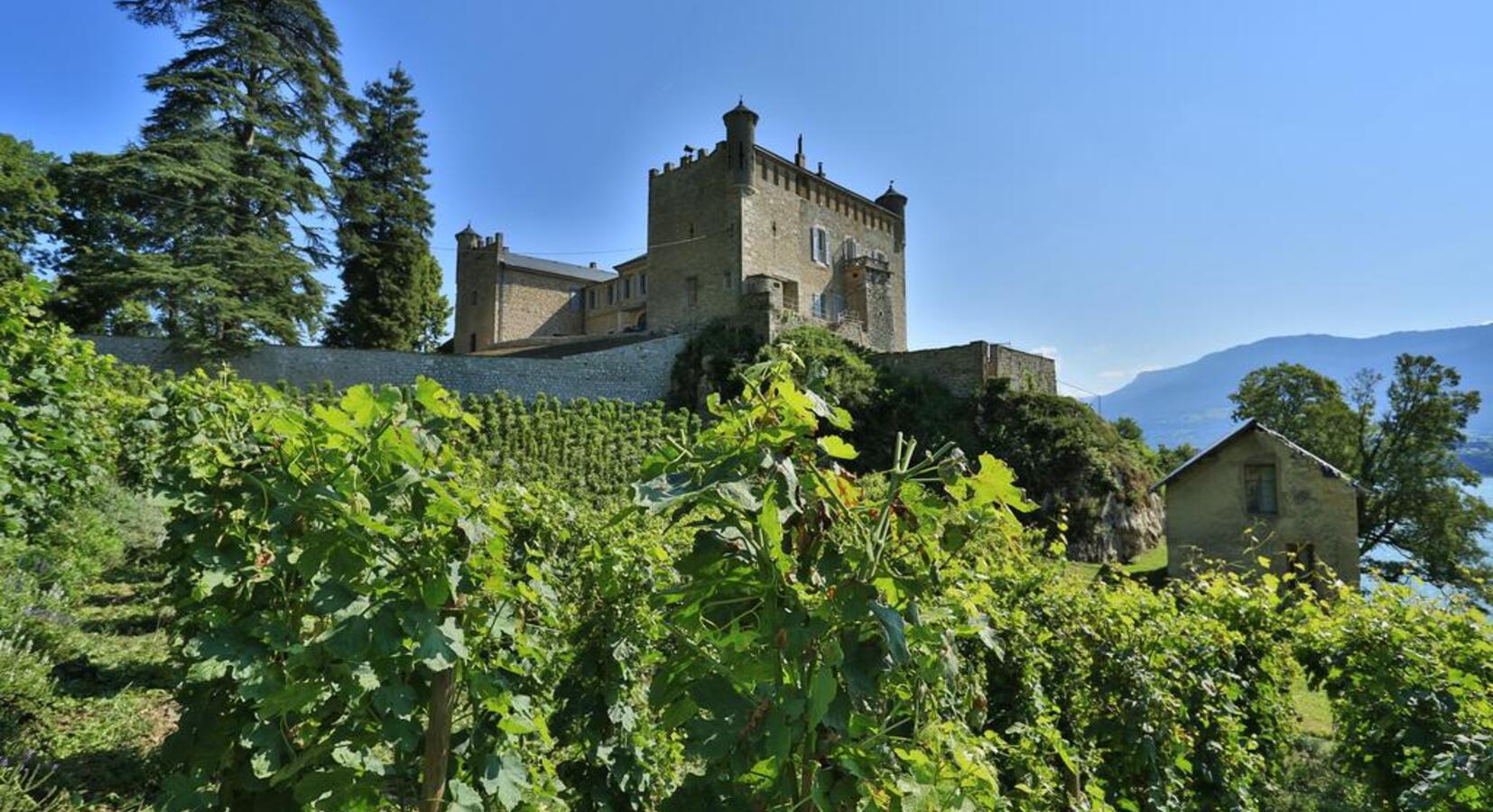 Photo of Chateau de Bourdeau