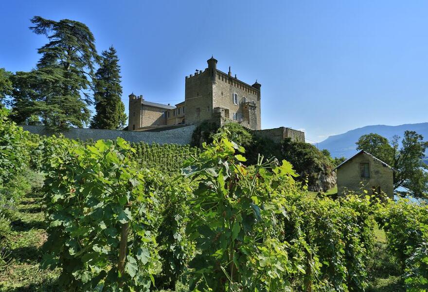 Chateau de Bourdeau