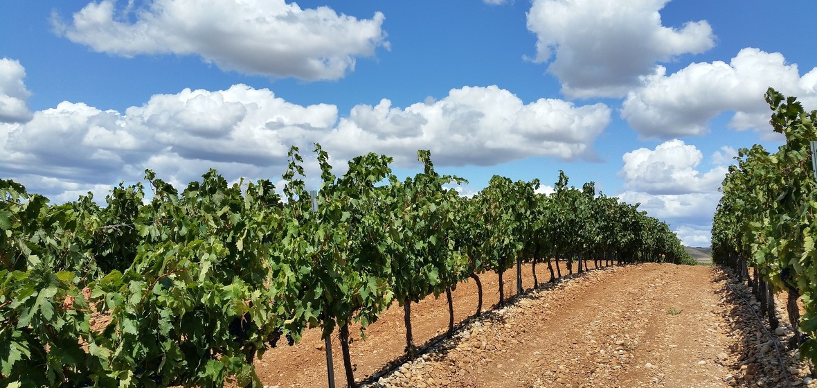 Foto von La Rioja