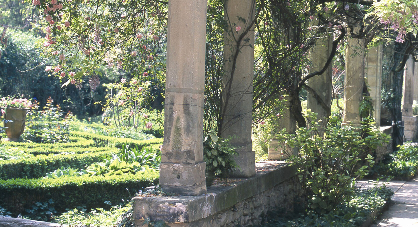 A View of the Garden