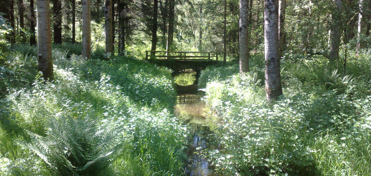 Photo de Comté de Monaghan