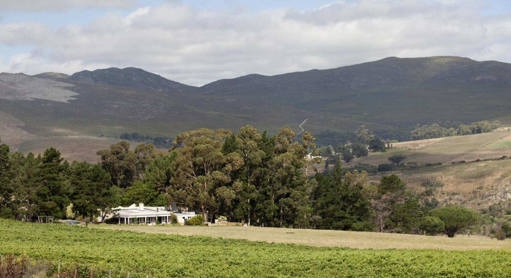 Foto von Blue Gum Country Estate