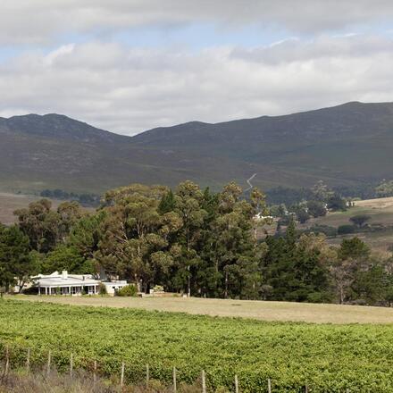 Blue Gum Country Estate