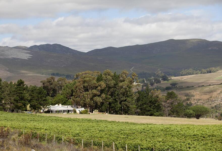 Blue Gum Country Estate