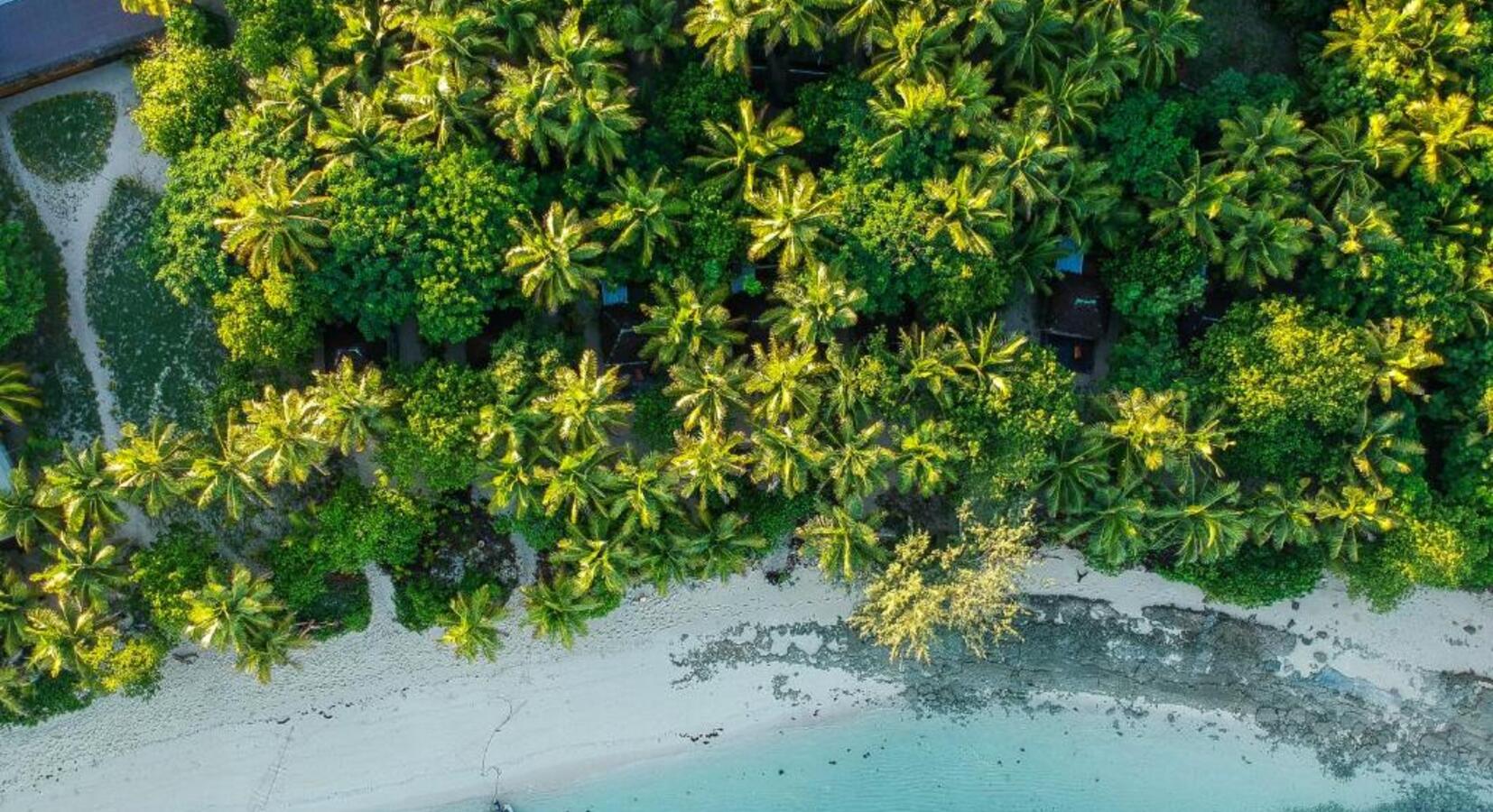 Aerial Beach Shot