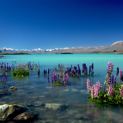 Südinsel, Neuseeland