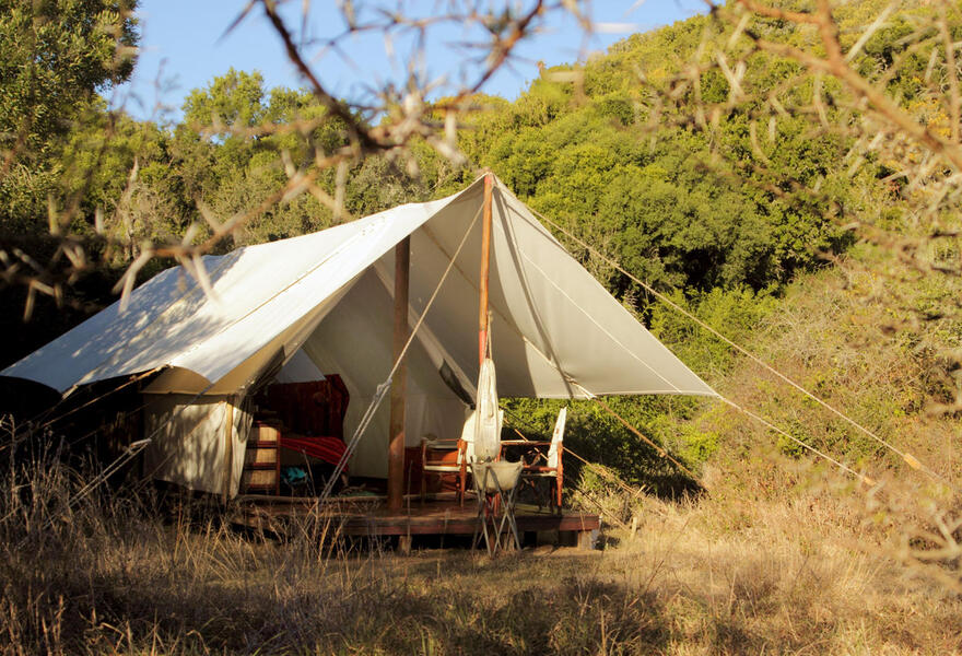 Quartermain's 1920's Safari Camp