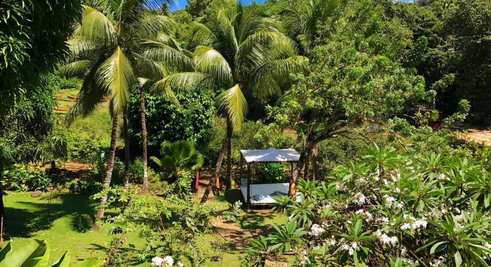 Hotel gardens