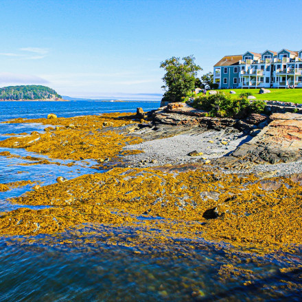 20 beste Hotels in Maine für Paare