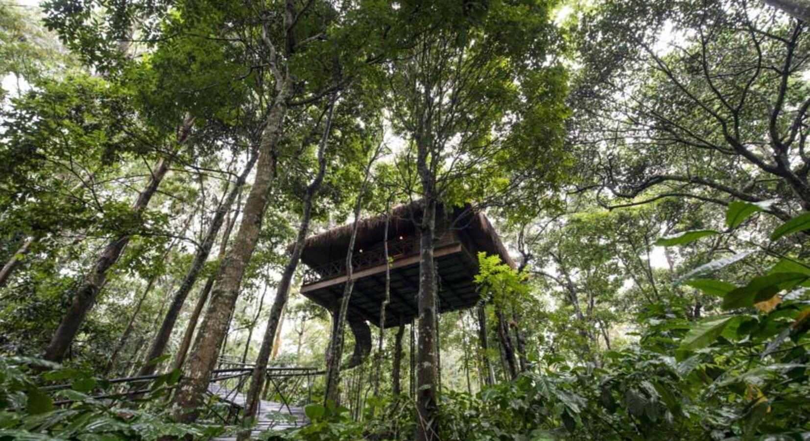 Treehouse Exterior