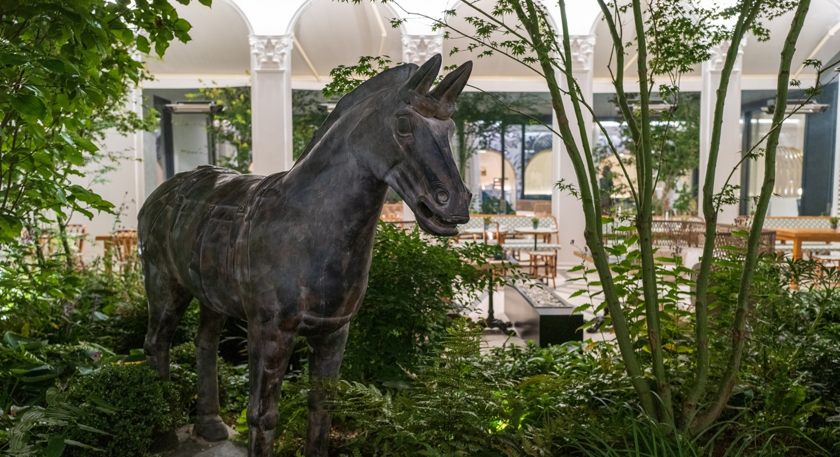 Leafy courtyard garden