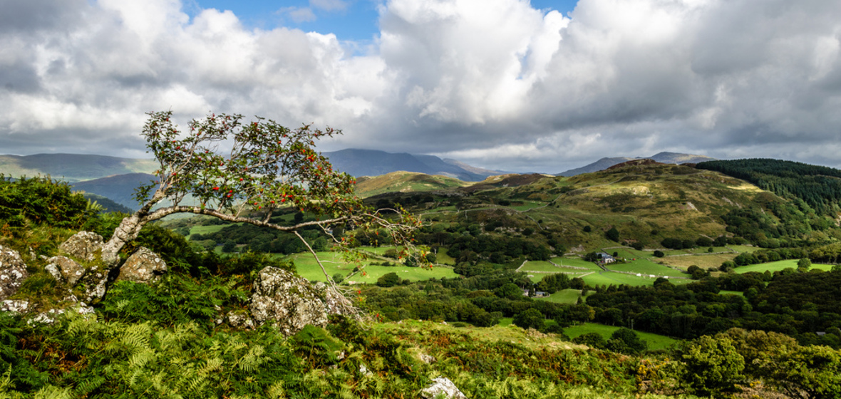 Photo of Dolgellau