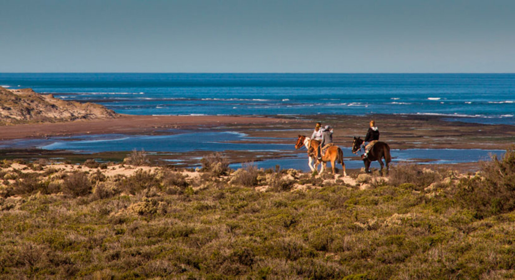 Horseriding excursion