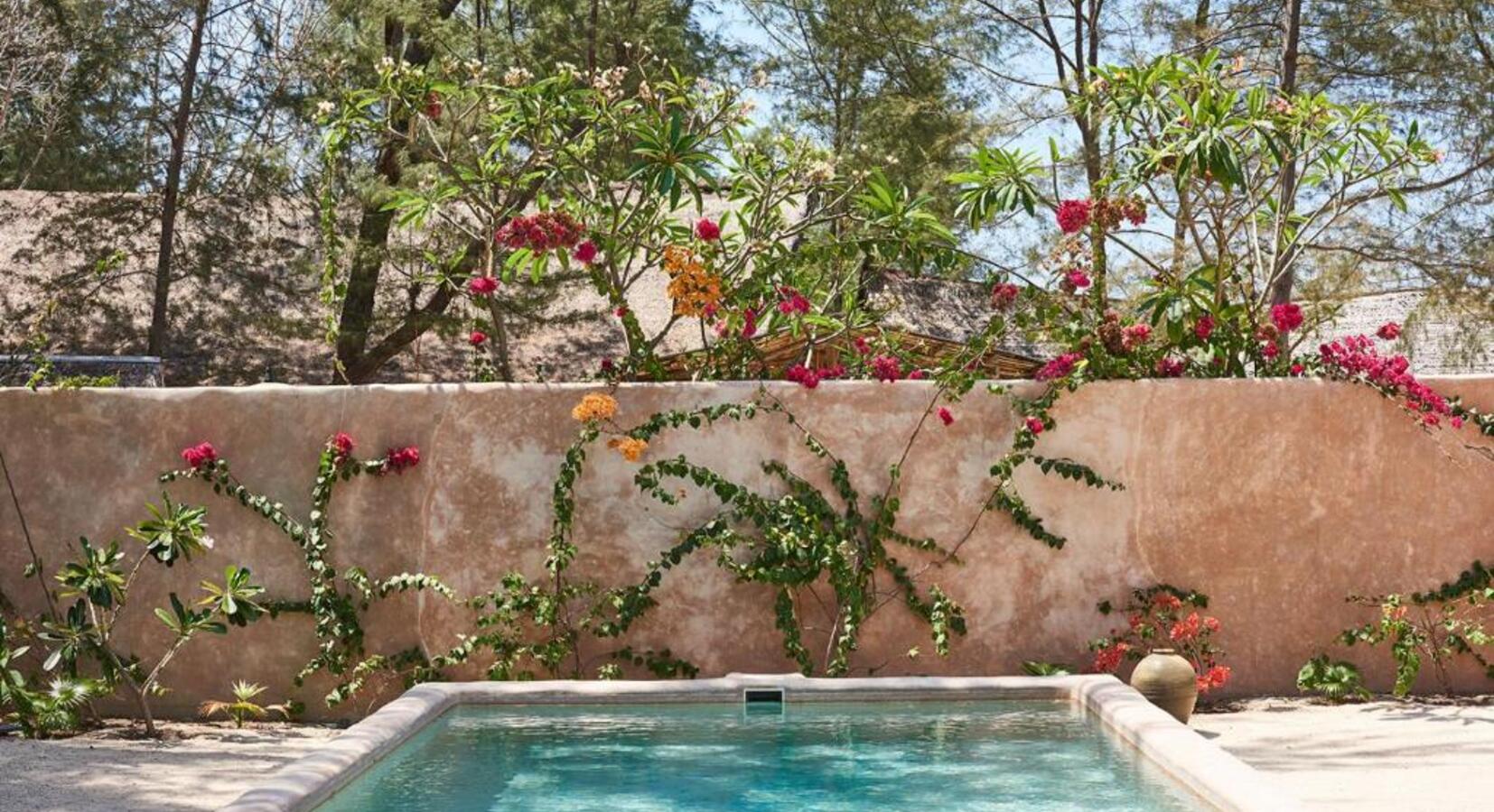 Robinson House - Swimming Pool 