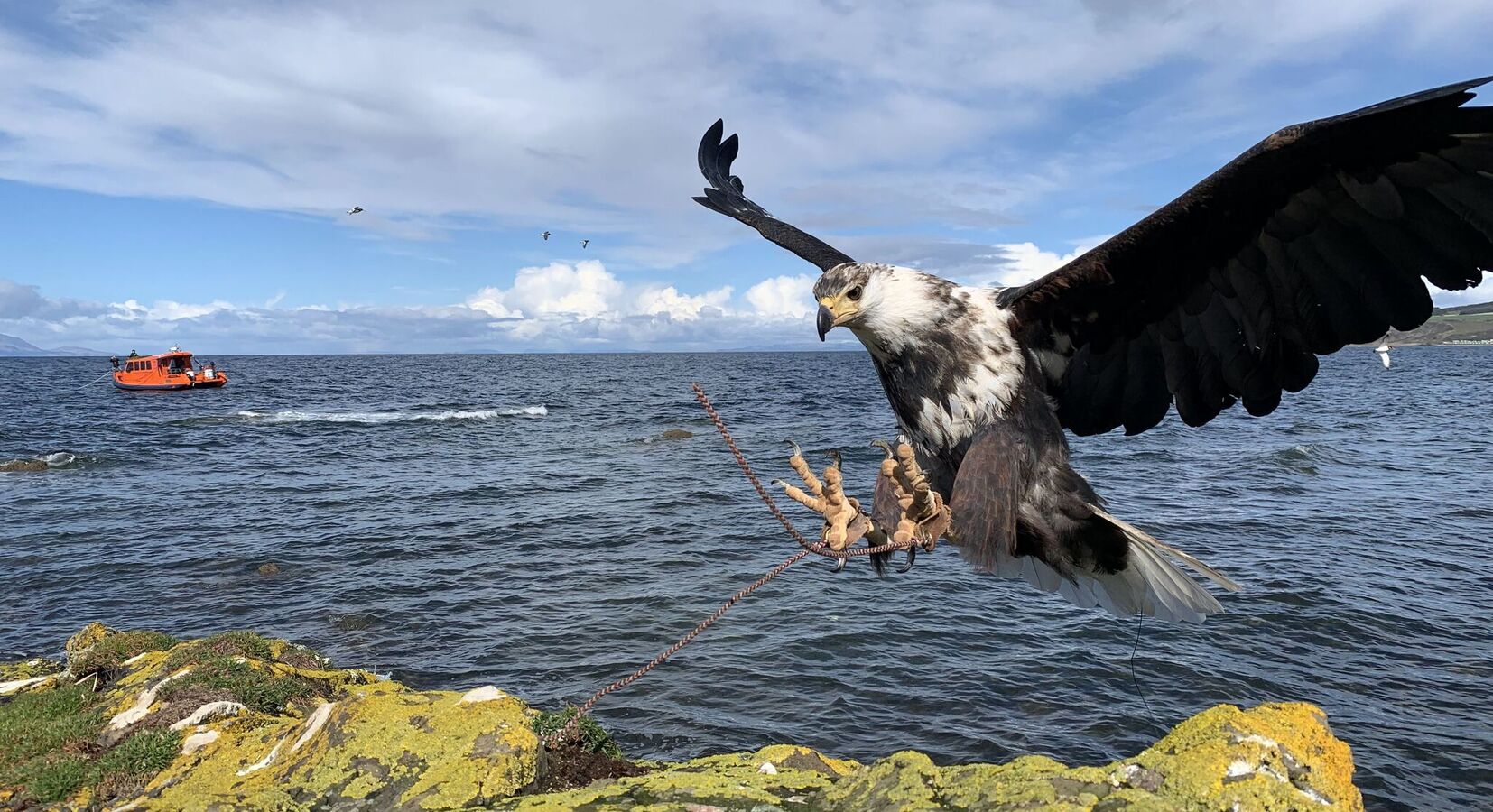 Glenapp Castle - Fishing with Sea Eagle