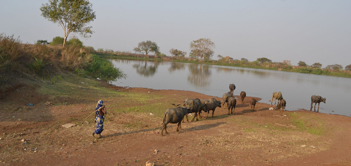 Photo de Raipur