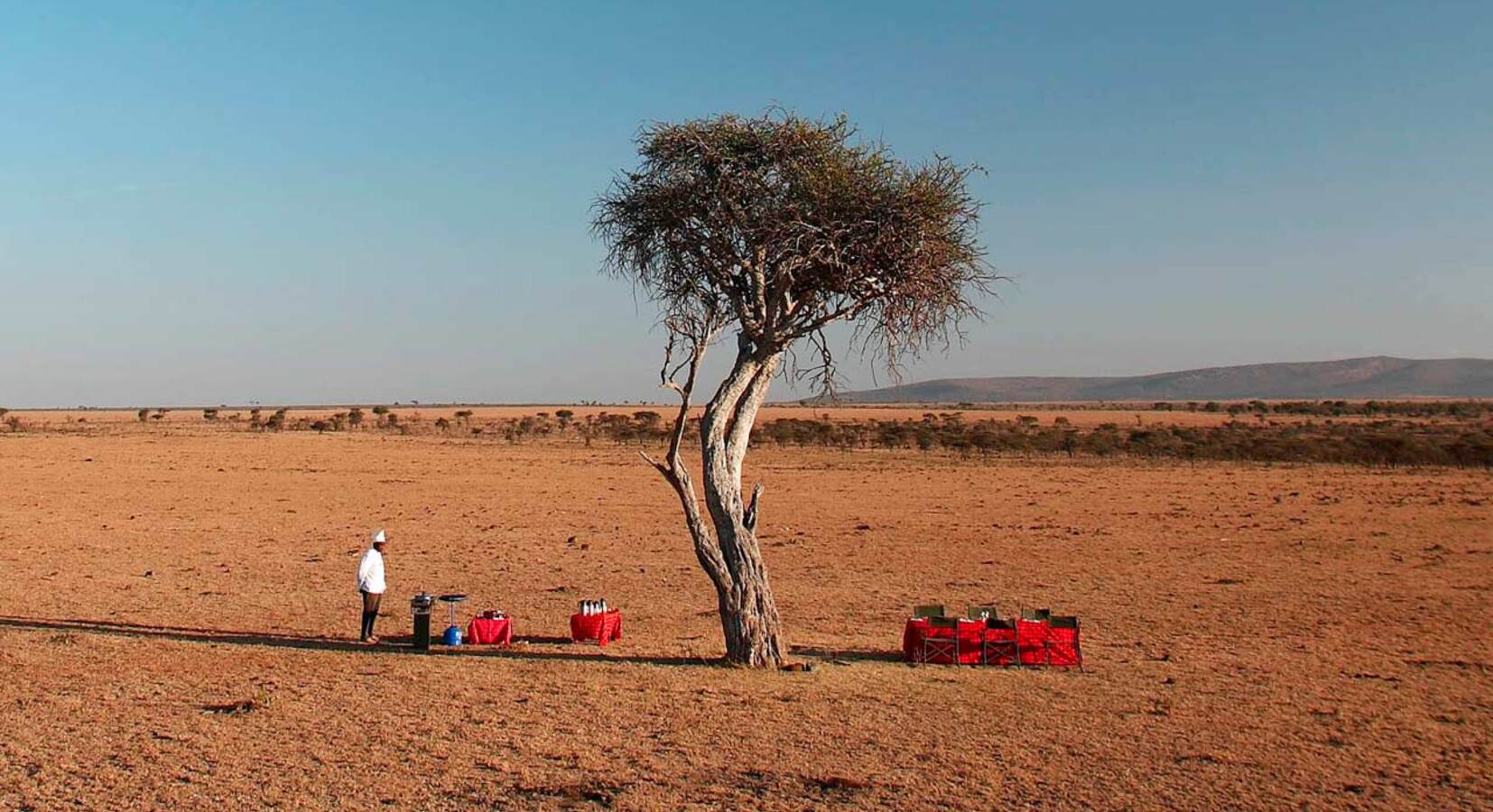 Dining Al Fresco