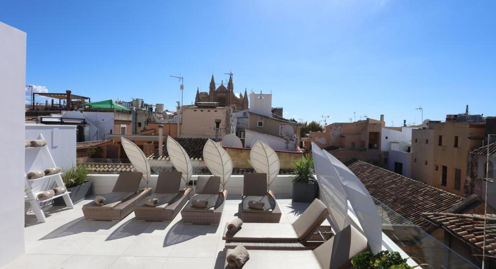 Roof Terrace