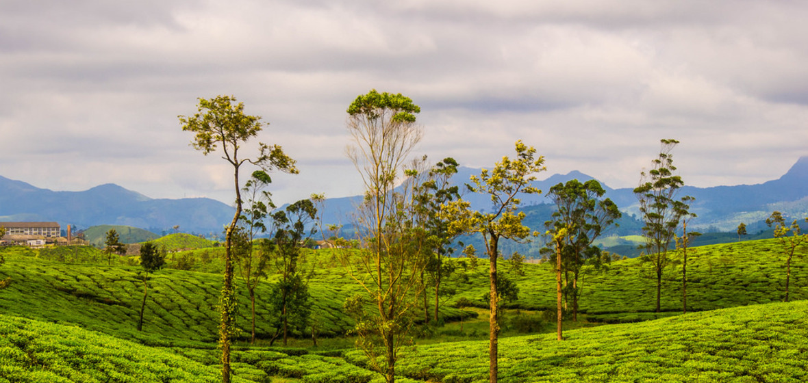 Photo of Tamil Nadu