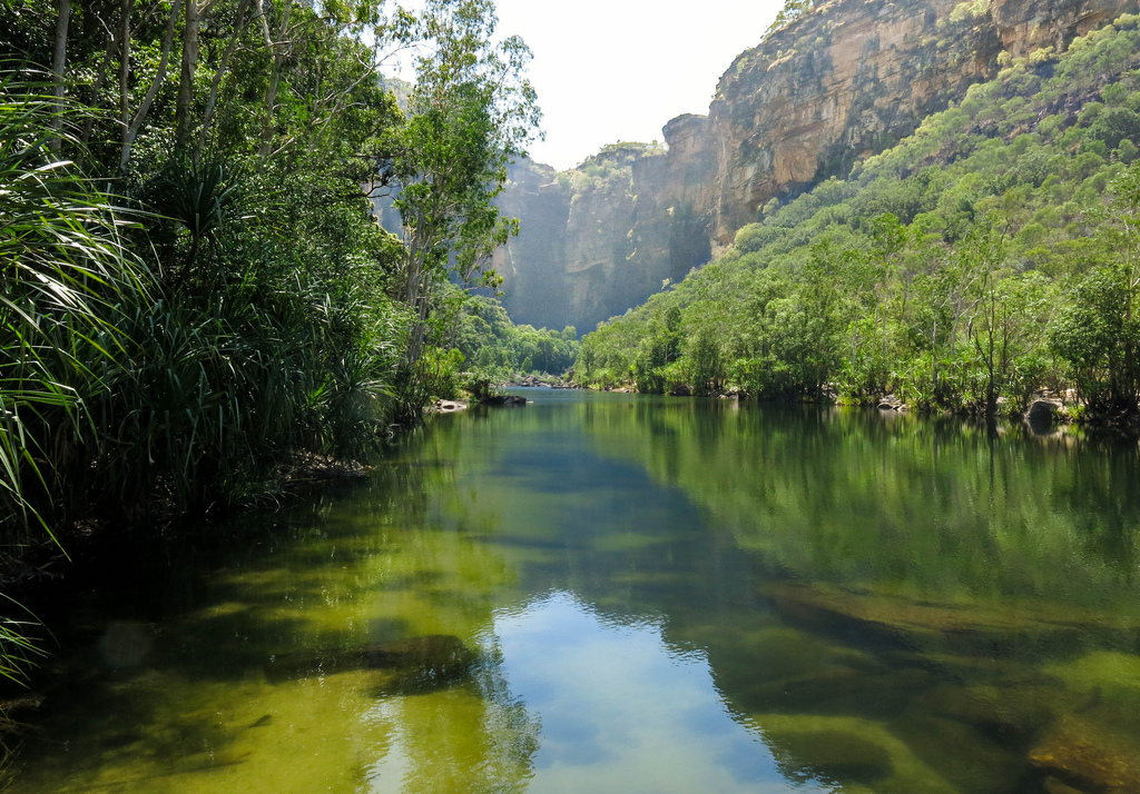 Kakadu