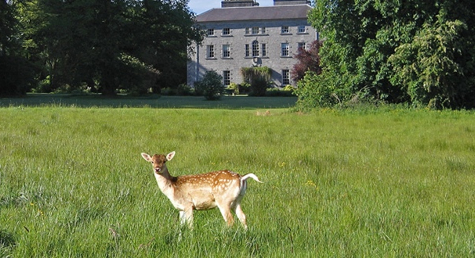 Foto von Coopershill House Hotel