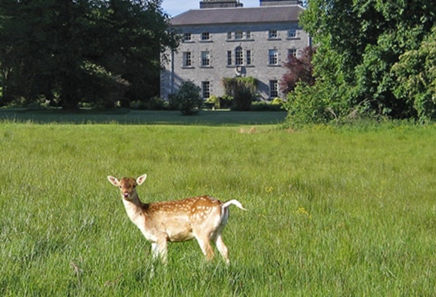 Coopershill House Hotel