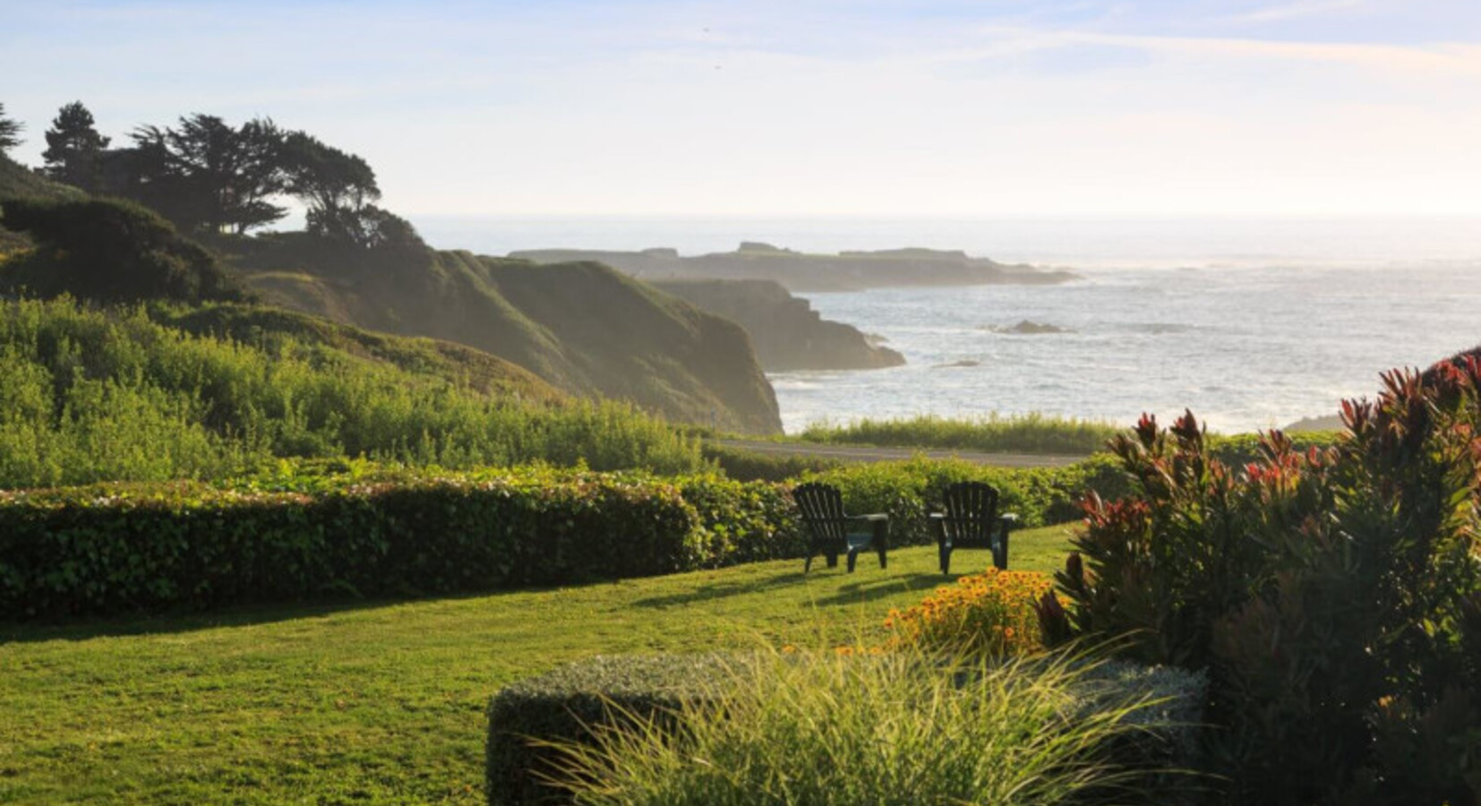 The garden and view