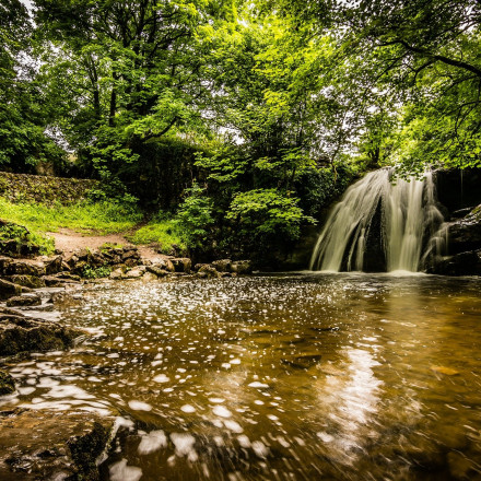 The 13 Best Pet Friendly Hotels in the Yorkshire Dales