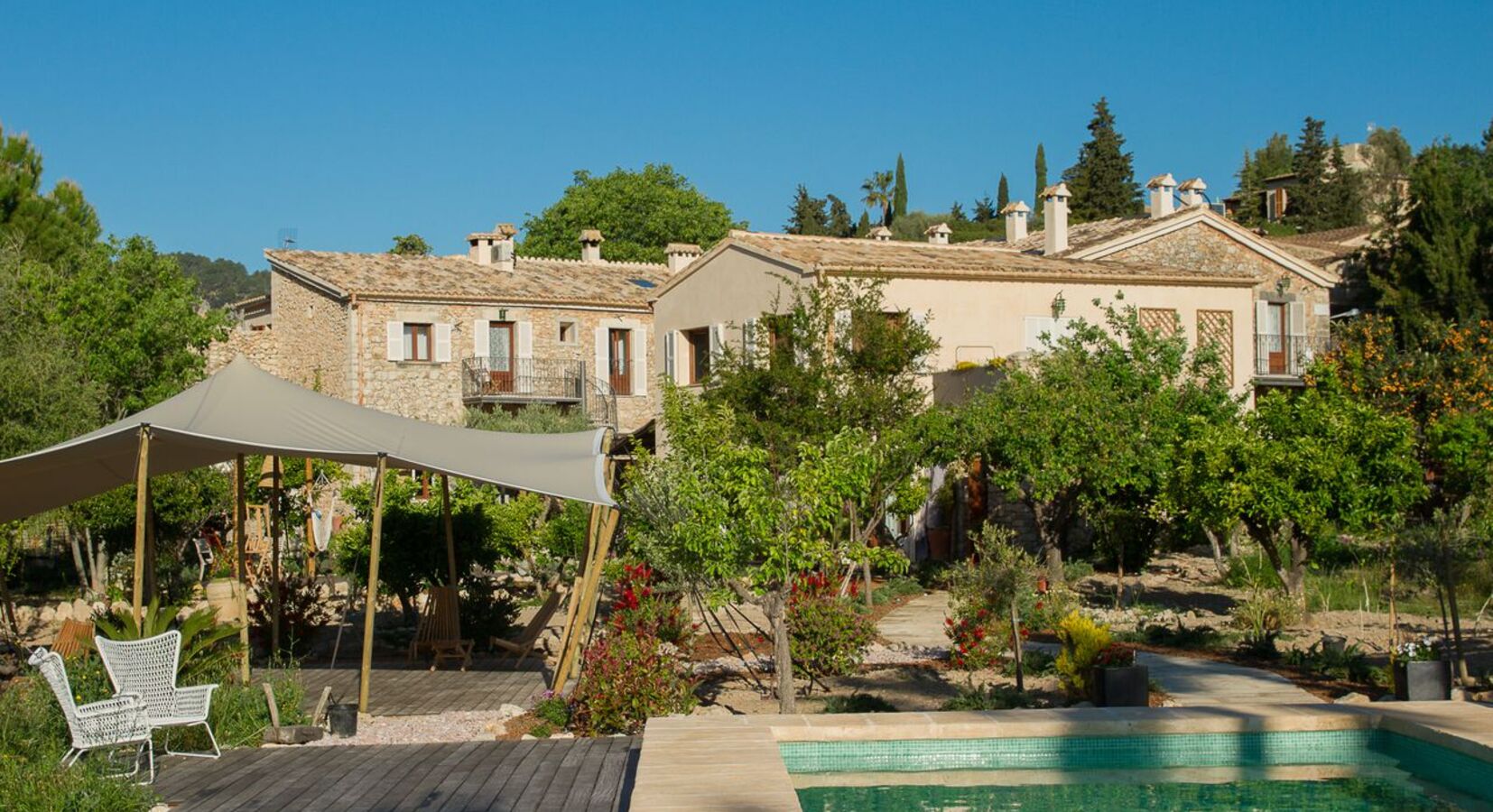 Photo of The Pink Pepper Tree