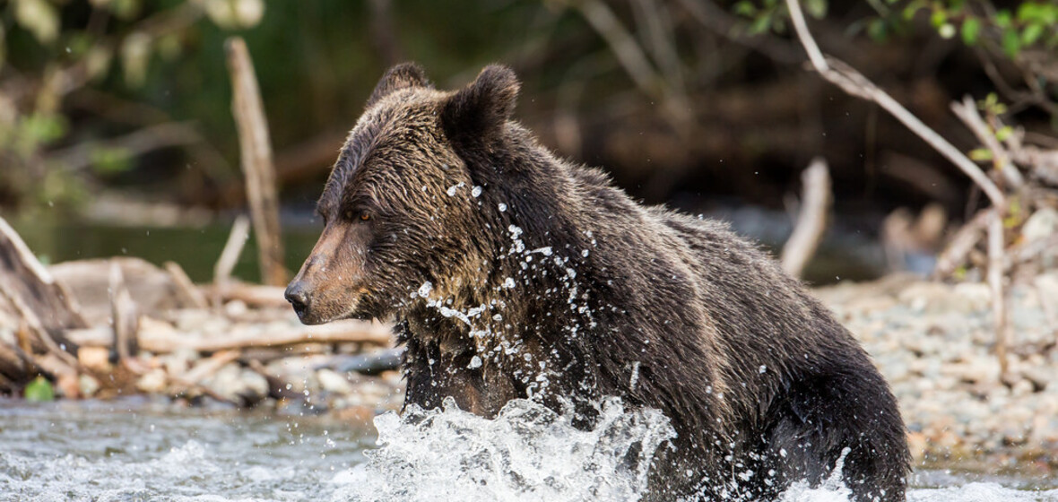 Photo de Bella Coola