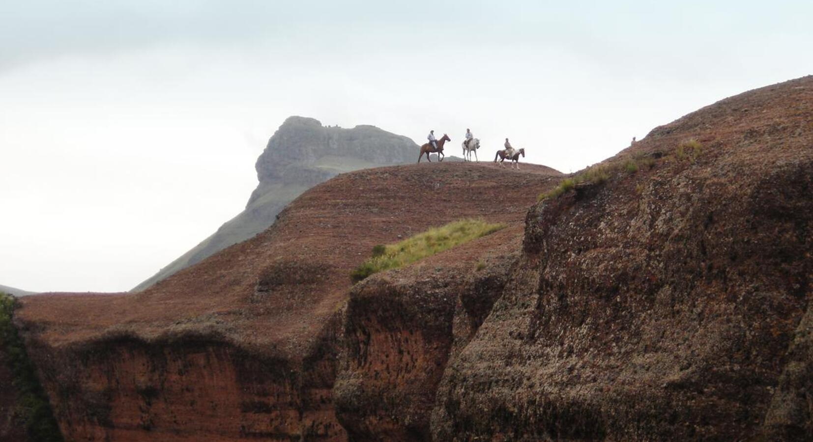 Horseriding excursion