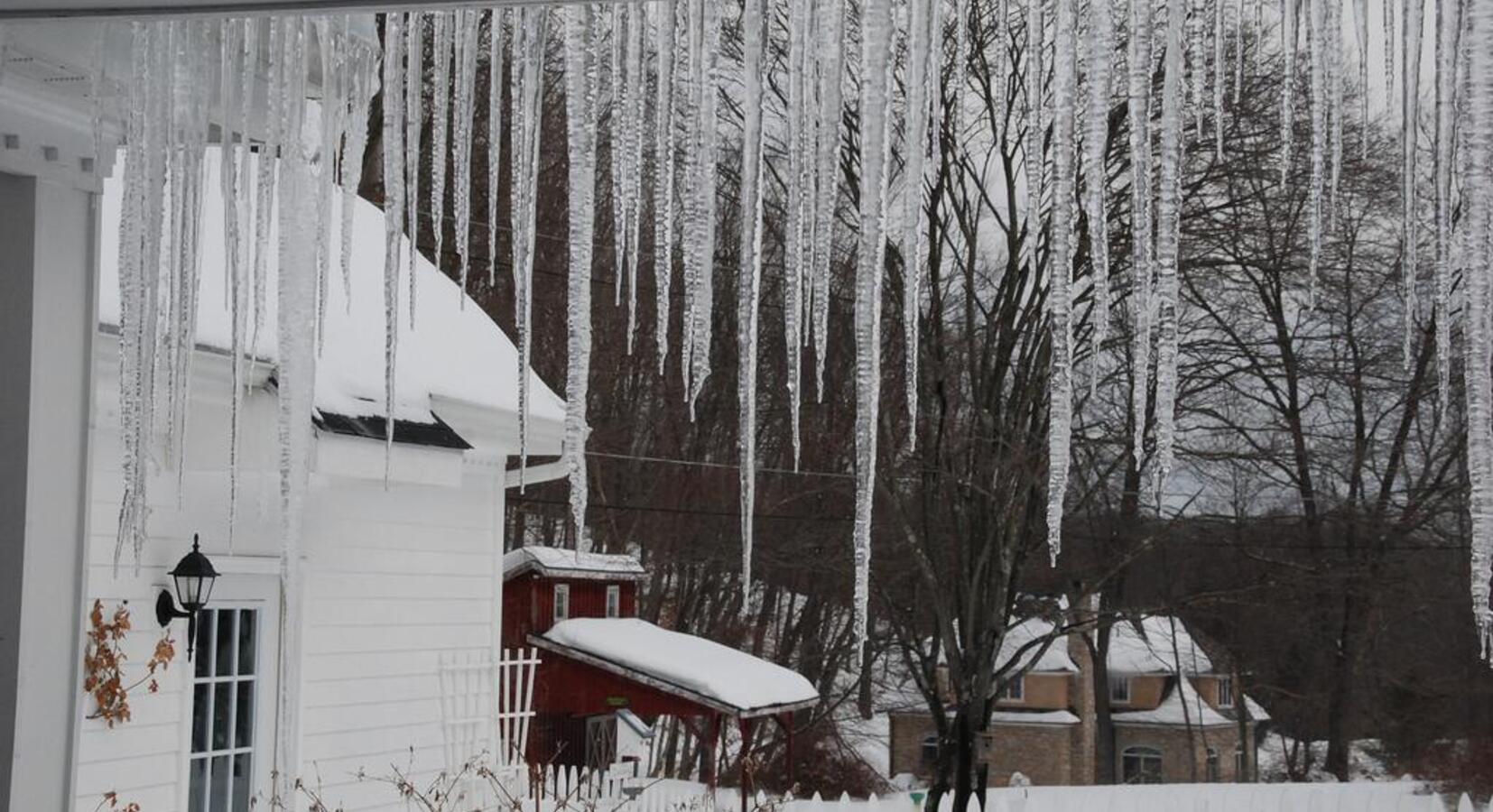 Winter at the Wooden Duck