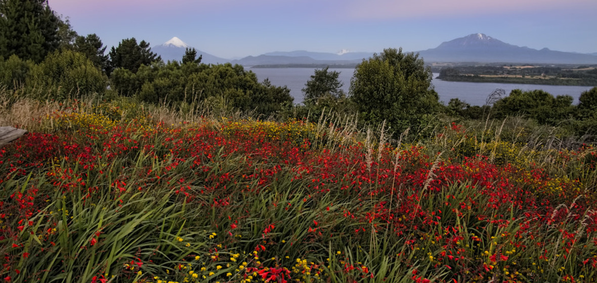 Foto von Puerto Varas