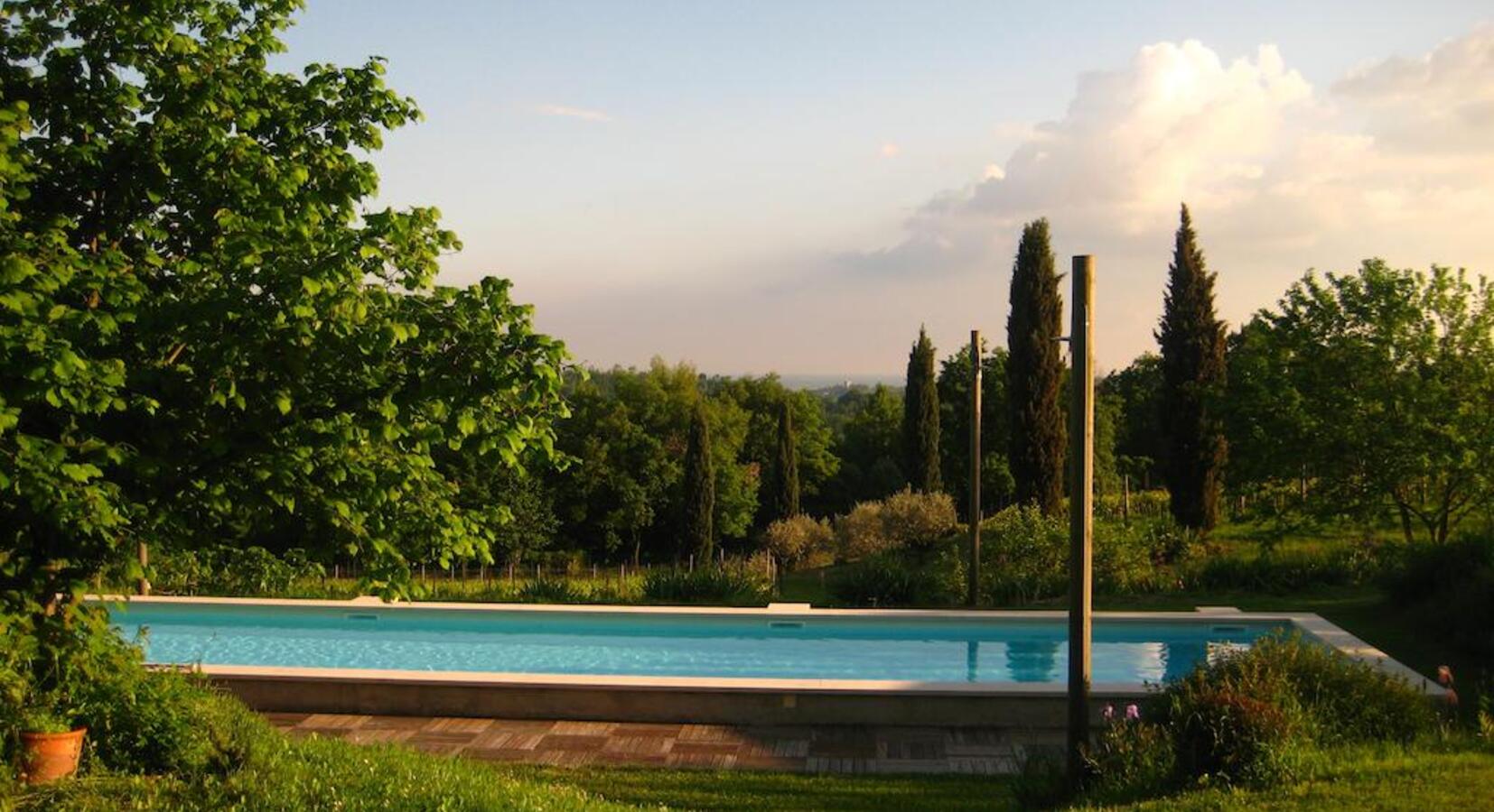 Pool and garden