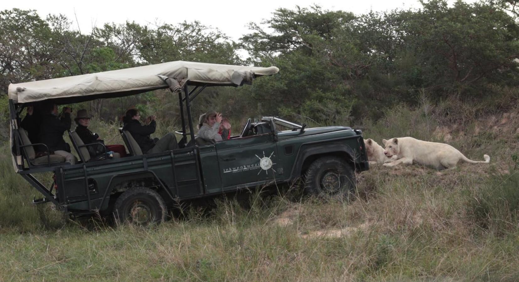 Game Drive 