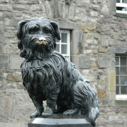 20 Best Dog Friendly Hotels in Scotland