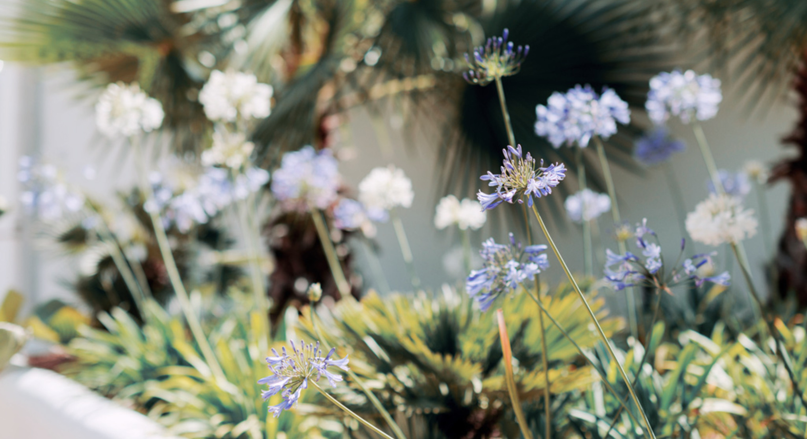 Hotel gardens