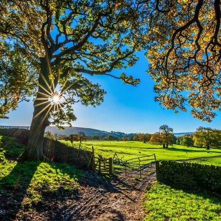 18 des meilleurs pubs avec chambres dans le Yorkshire