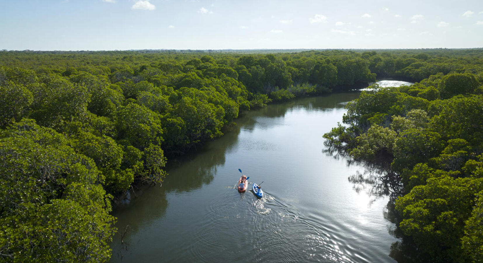 Complimentary Activity Kayaking the Creek