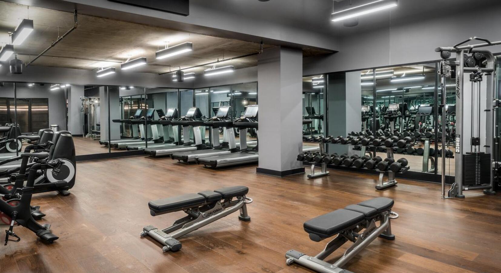 Fitness Suite